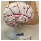 Medical advertising brain