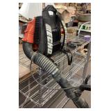 Echo backpack blower