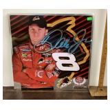 Dale Earnhardt Jr sign