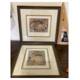 2 framed rabbit prints