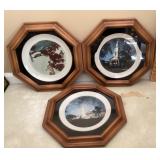 3 framed collector plates