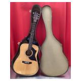 Goya acoustic guitar with case