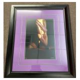 29x35 Liz Saelzer framed print --signed