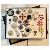 Costume jewelry brooches in deep riker case