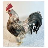 17" rooster figure with real feathers
