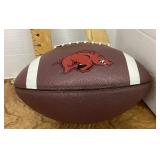 Nike Arkansas Razorbacks football