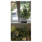 Large group of faux greenery in pots