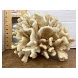 Large piece of coral