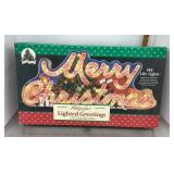 Lighted Merry Christmas decor