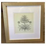 Framed botanical print 24x24