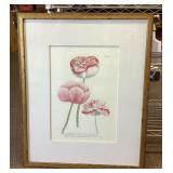Framed botanical print 24x19