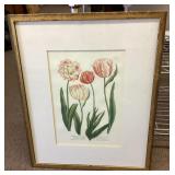 Framed botanical print 24x19