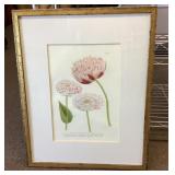 Framed botanical print 24x19