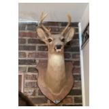 Deer mount