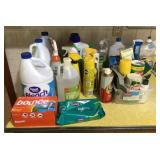 Household cleaners and chemicals