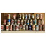 Beer can collection