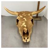 Cow skull
