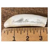 Scrimshaw