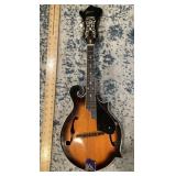 Johnson mandolin