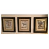 3 wild animal prints 14x16