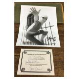 Stan Lee signed Spiderman picture with COA