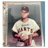Hoyt Wilhelm autographed photo
