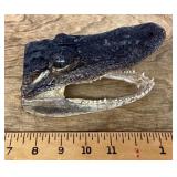 Alligator head