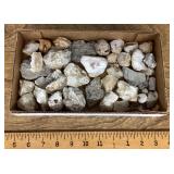 Box of minerals with fossils