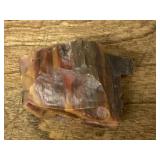 Arizona petrified wood