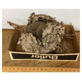 Hornets nest