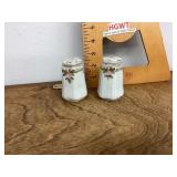 Porcelain salt and pepper shakers