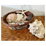 Basket of seashells with large conch