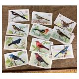 Collection of Arm & Hammer bird trading cards