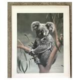Signed Charles Fracï¿½ "Koala" print 24x30