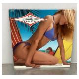 The Beach Boys LP