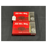 .300 Win Mag, Qty: 40