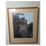C.Ford Riley Framed Hawk Print
