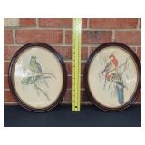 Two Vintage Framed Bird Prints 10 x 12