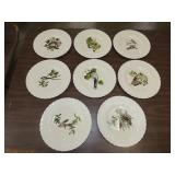 Alfred Meakin Birds of America Plates - 11"