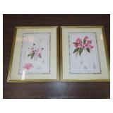 Pair of Framed Flower Prints - 17"x21"