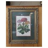 Framed Flower Print - 20"x24"