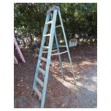 Werner Fiberglass 8Ft Step Ladder