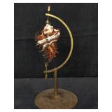 Chicoreus cornucervi shell on brass stand
