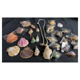 Seashell charms