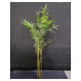 Bundle of bamboo plants