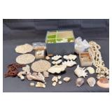 Large collection of ocean sea shells / box lot.