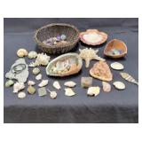 Large collection of sea shells / quartz crystals
