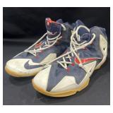 Lebron 11 Independence Day