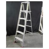 Werner Aluminum ladder