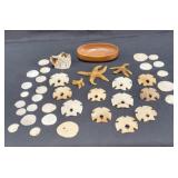 Group of sea shells & starfish with wooden bowl /